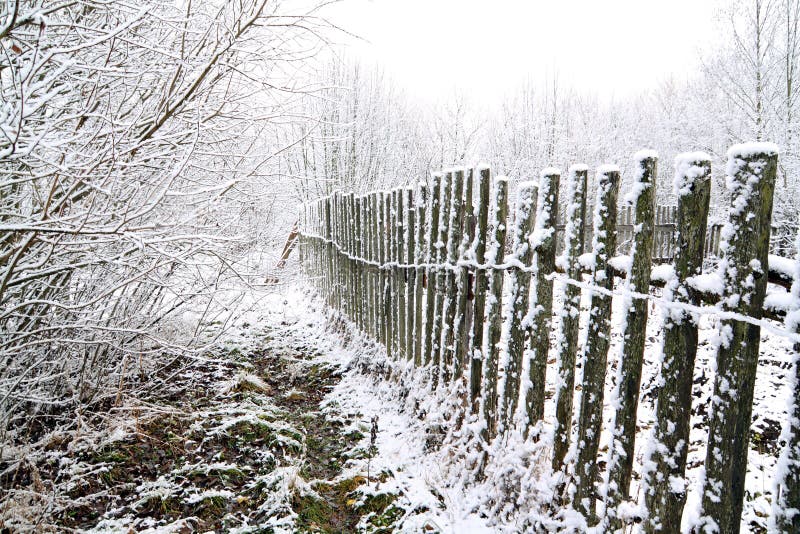 Old fence