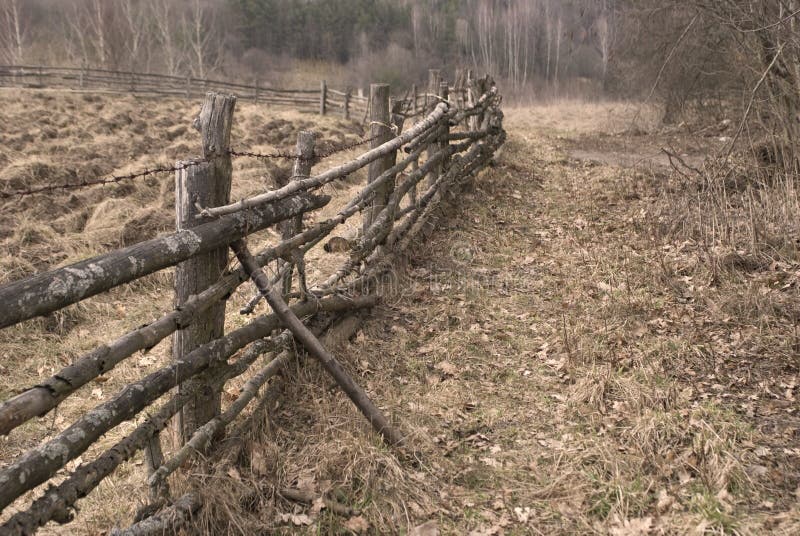 Old fence