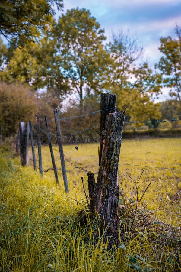 Old fence with barbed wire