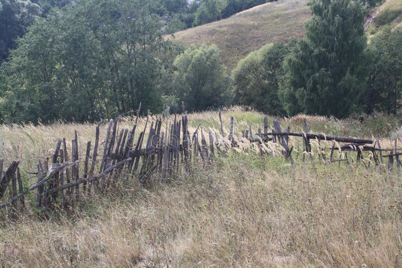 Old fence