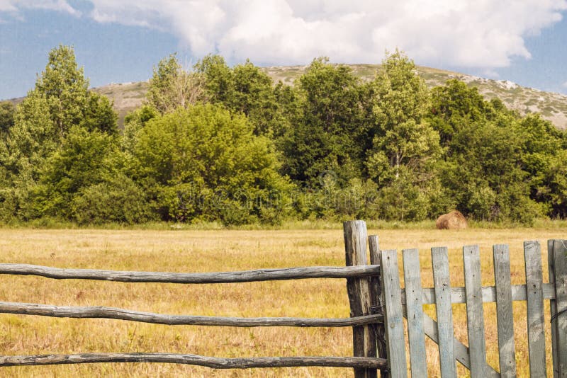 sunflowers wooden fence closeup brown summer copy space sunflowers wooden fence closeup brown summer copy space