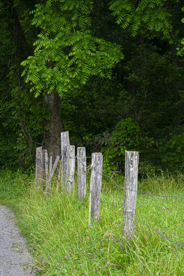 Old Fence Posts In The Smoky Mountains royalty free stock photos