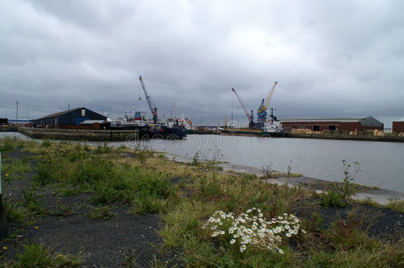Albert dock, Kingston upon Hull fishing trade