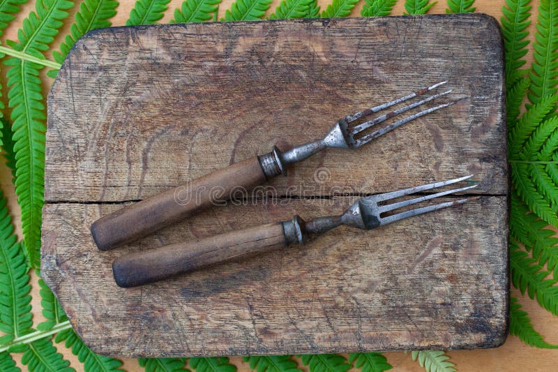 Old Forks with Wooden Handles Stock Image Image of closeup, space