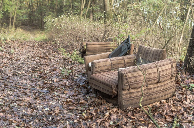 Old Furniture in the Forest, Illegal Garbage Dumping, Environmental