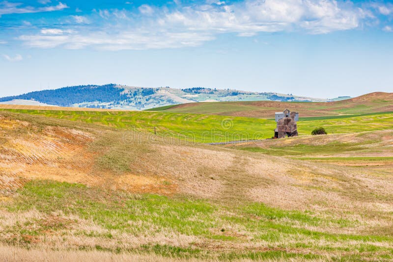 Old grain silo in wheat fields in the Palouse hills