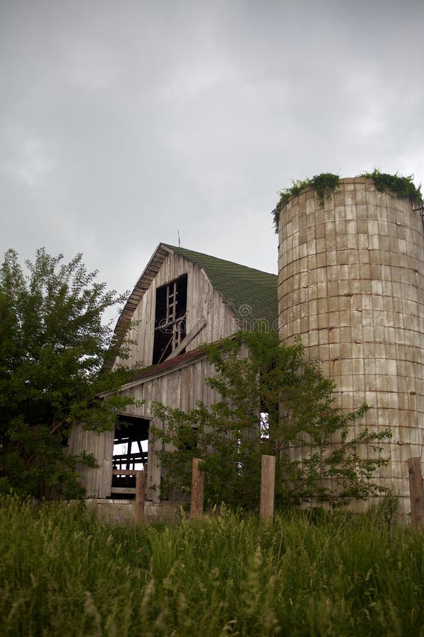 Old, Gray, Abandoned Barn and Overgrown Silo Withs