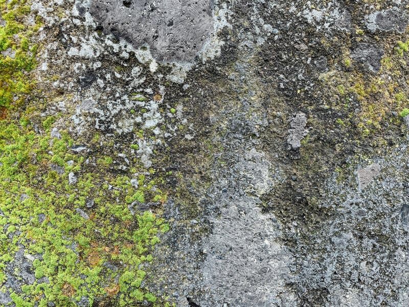 Old gray vintage wall texture structure as background stock photo