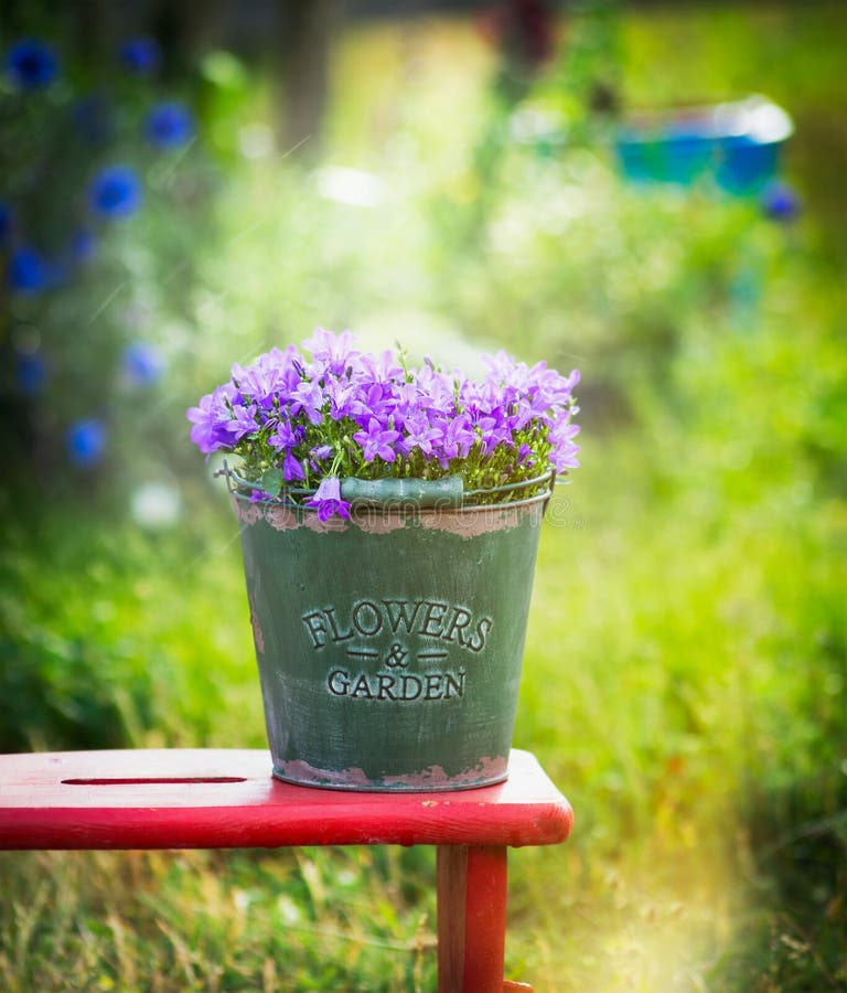 Old green bucket with garden bell flowers on red little stool over summer nature background