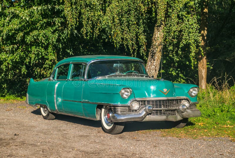 Old green Cadillac in a forest
