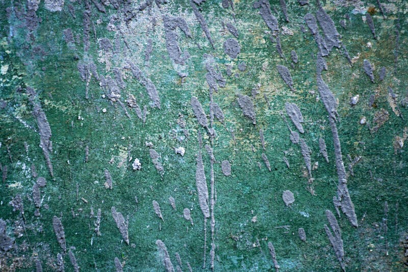 Old green grungy wall