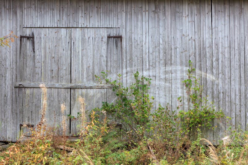 Old grey barn wall stock photography