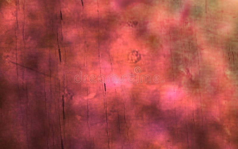 891 Wood Background Wallpaper Hd Stock Photos - Free & Royalty-Free Stock  Photos from Dreamstime