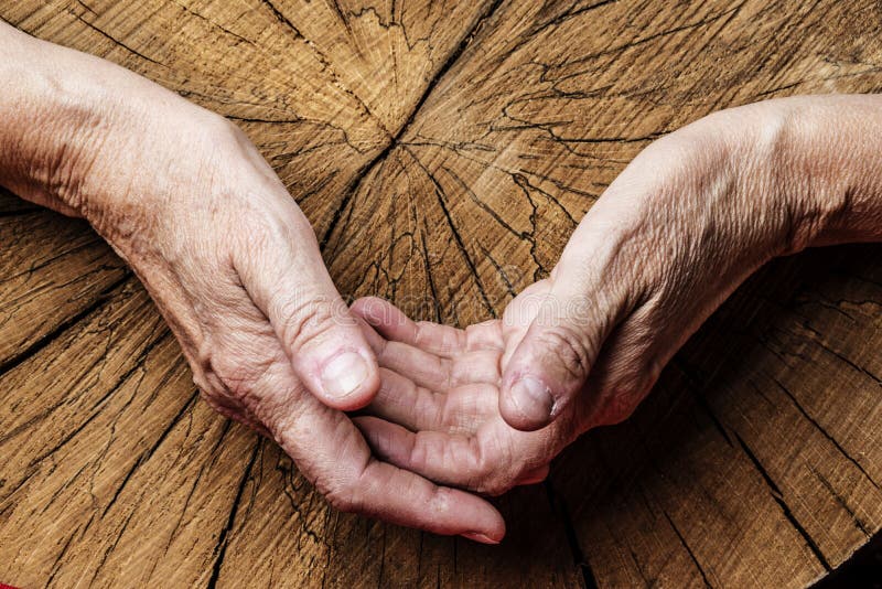 Old hands and old tree