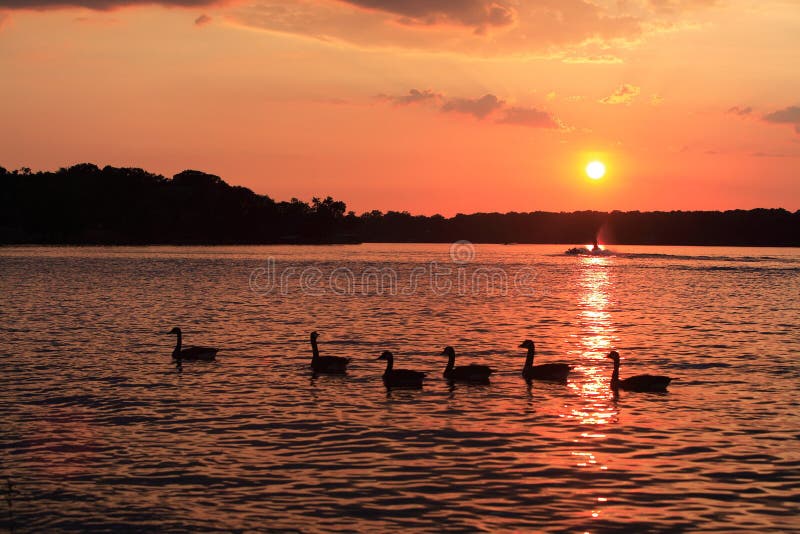 Old Hickory Sunset