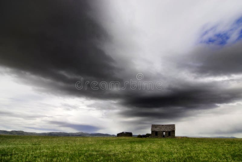 Old Homestead in Field