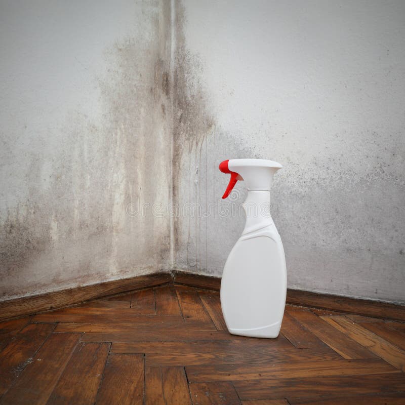 Cleaning stock photo. Image of auto, clean, aluminum 19633016