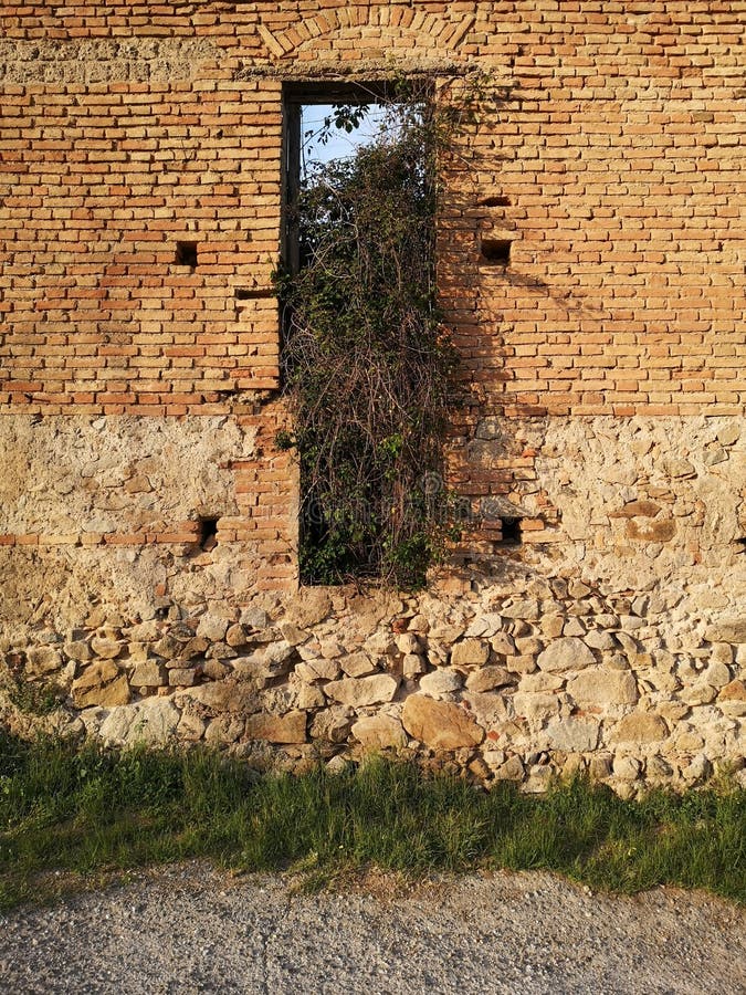 Old house wall overtaken by nature. Old red brick and stone house wall overtaken by nature home holes window plant plants growing reclaimed stock photo Old house wall overtaken by nature. Old red brick and stone house wall overtaken by nature home holes window plant plants growing reclaimed stock photo