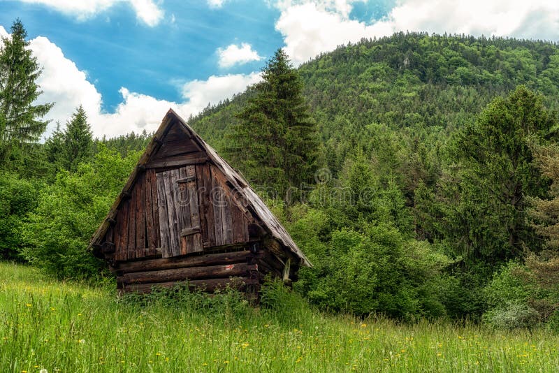 Old hut in green sunny meadow