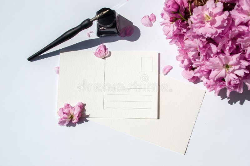 Old ink pen and ink bottle on white background. Vintage calligraphy pen and bottle of ink. Cherry blossom twig with black ink and royalty free stock photo Old ink pen and ink bottle on white background. Vintage calligraphy pen and bottle of ink. Cherry blossom twig with black ink and royalty free stock photo