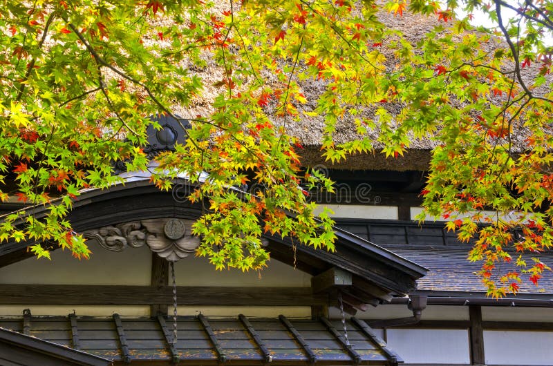 Old Japanese House with Autumn Season