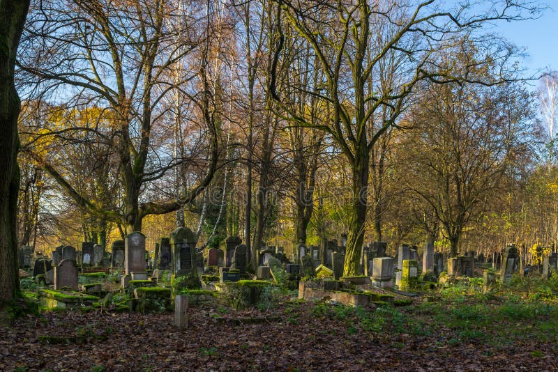 Historic Jewish cemetery in the city of Lodz, Poland