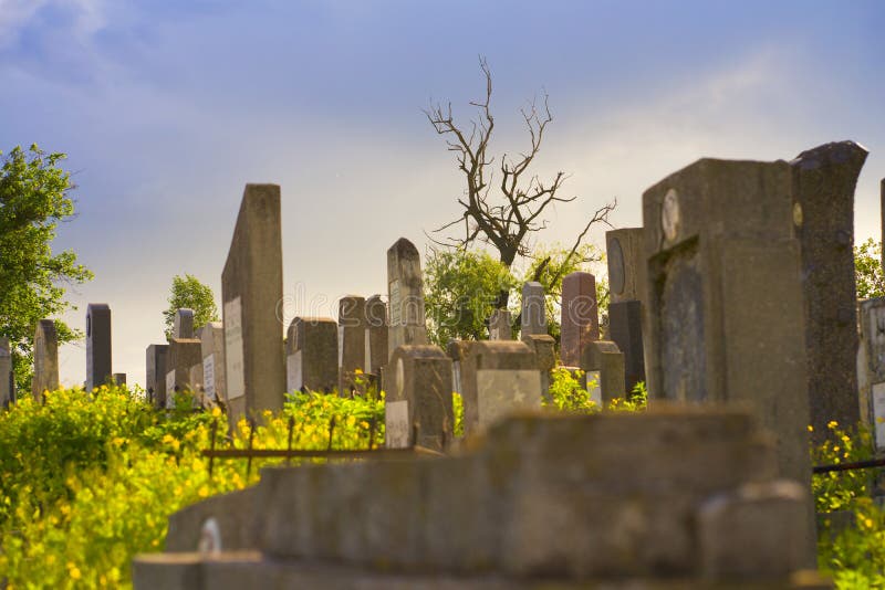 The Old Jewish cemetery at colorful sunset sky, Chernivtsi Ukraine. stock photo The Old Jewish cemetery at colorful sunset sky, Chernivtsi Ukraine. stock photo
