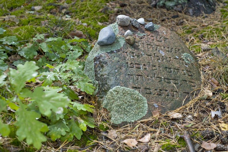 Old Jewish cemetery in the forest. The cemetery is located in Poland. Unreadable Yiddish text inscriptions on the stones.