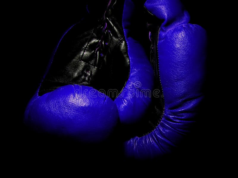 Old Leather Blue Boxing Gloves Hanging in the Dark Stock Image Image
