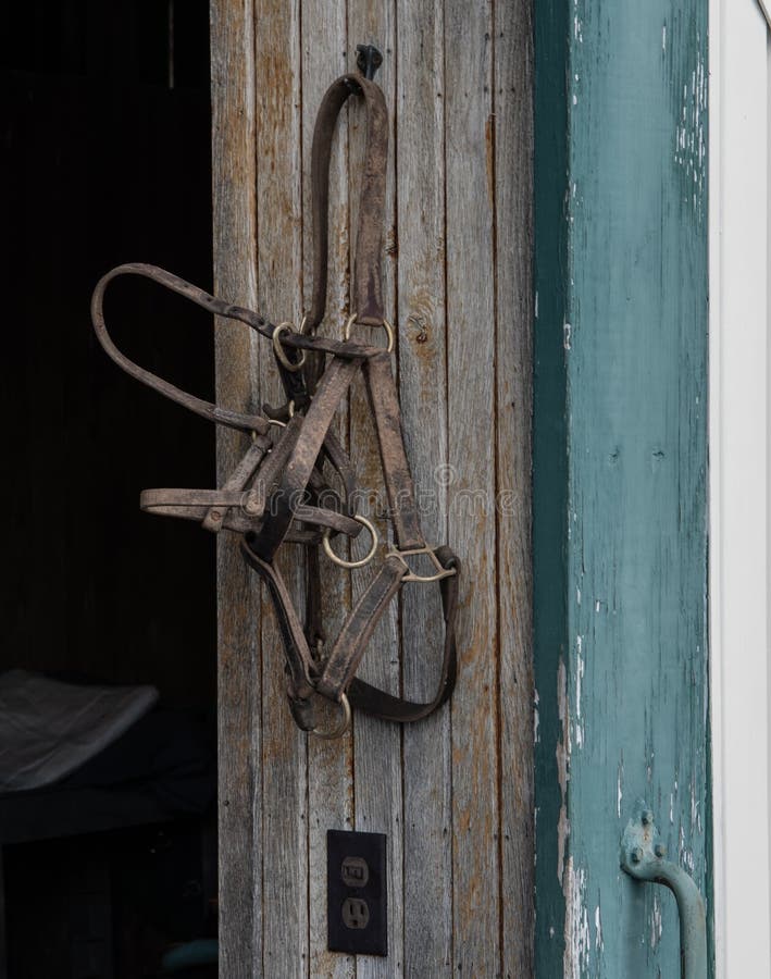 Bridles Hanging on Barn Wall Stock Image Image of riding, sports