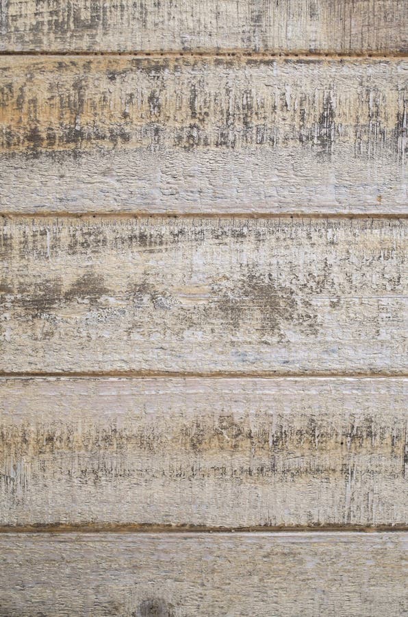 Lacquered Light Pine Wood Texture. Wood Texture for Design and