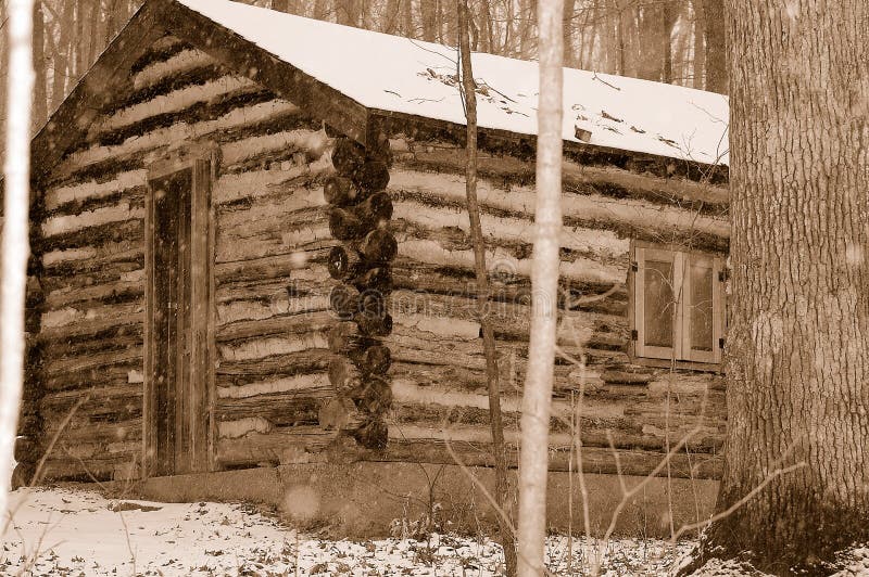 Old log cabin in woods 1