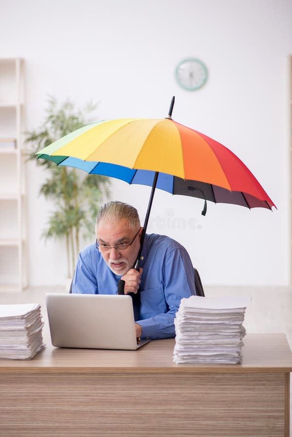 Old Male Employee Holding an Umbrella in the Office Stock Photo Image