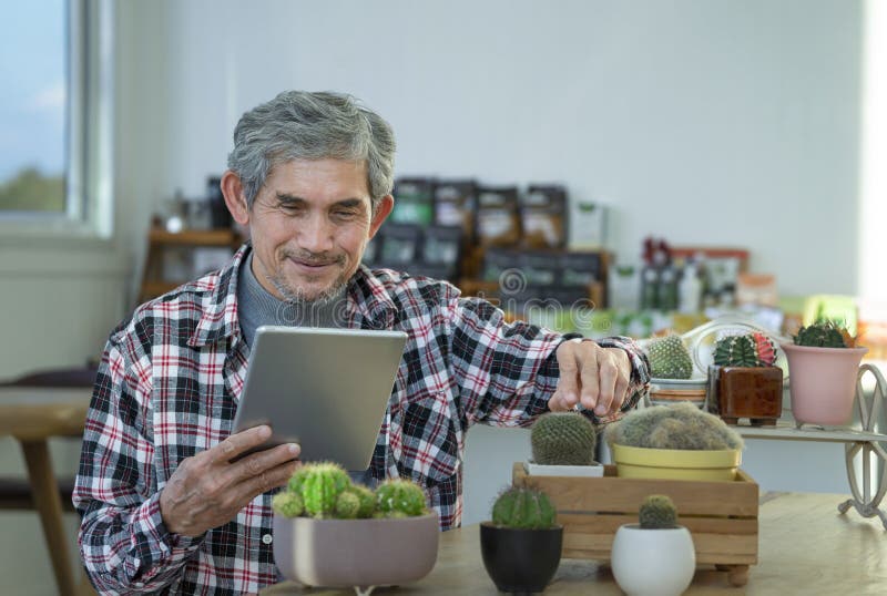 An old man spend his spare time learning how to plant and care of cactus from tablet internet online at home stock photos
