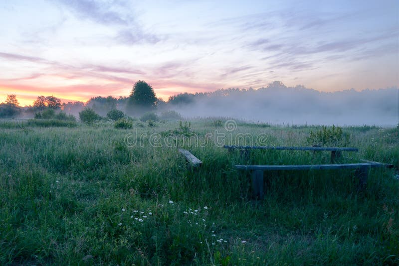Old meadow stock image. Image of moody, summer, scenic 56321345