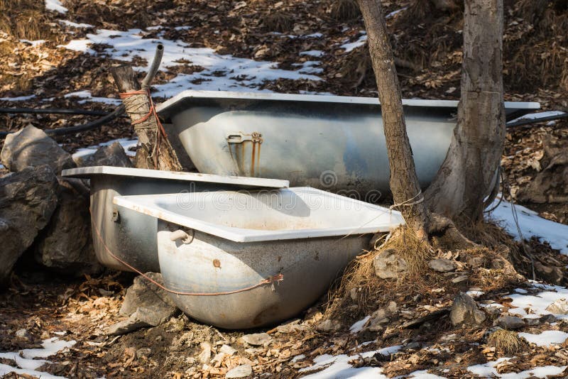 Old Metal Bathtubs Left in the Woods Stock Photo Image of winter