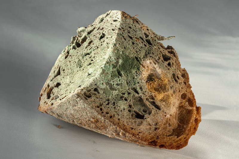 The Old Mold on the Rye Bread. Spoiled Food Stock Image Image of
