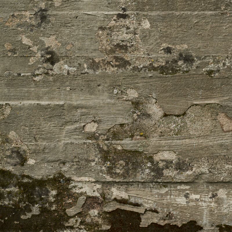 Old Cement Wall With Green Mold And Dirt, Texture Of Aged Concrete