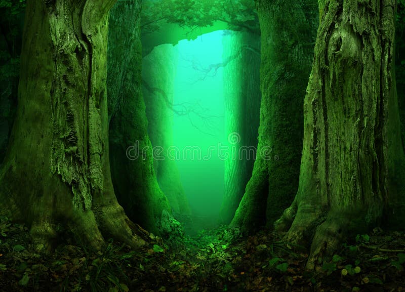 Fantasy forest with mysterious light on background.