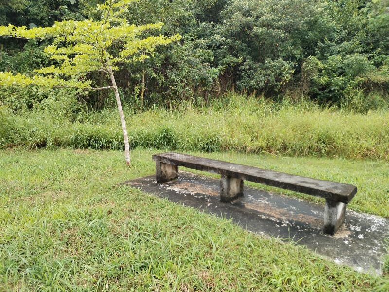 Old Moulded Concrete Bench at a Park Stock Photo Image of park, bench