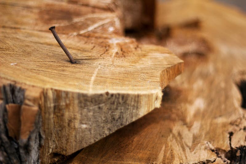 Old nail on wood stock photo. Image of brown, board, material 54083496