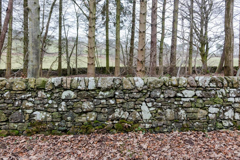 Old natural stone fence in countryside in Scotland