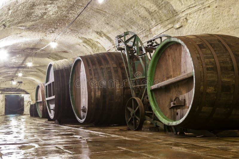 Old oak brewing barrels for the fermentation and storage of beer