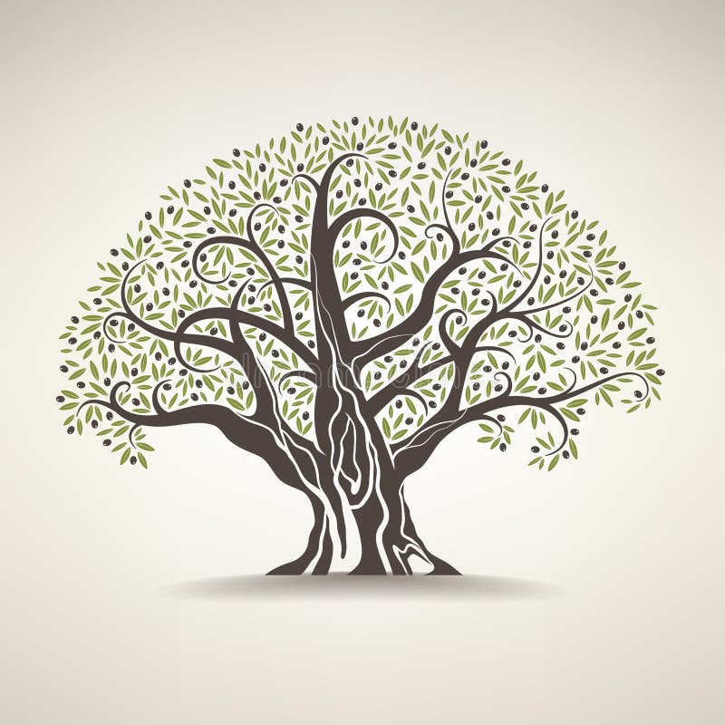 Old Olive Tree Stock Illustrations 1 475 Old Olive Tree Stock Illustrations Vectors Clipart Dreamstime