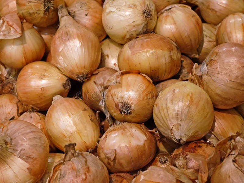 Onions on the shelf stock photo. Image of market, shelf 52144062