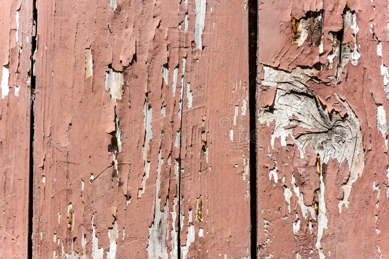 Old Paint stock photo. Image of natural, exterior, barn 56786102