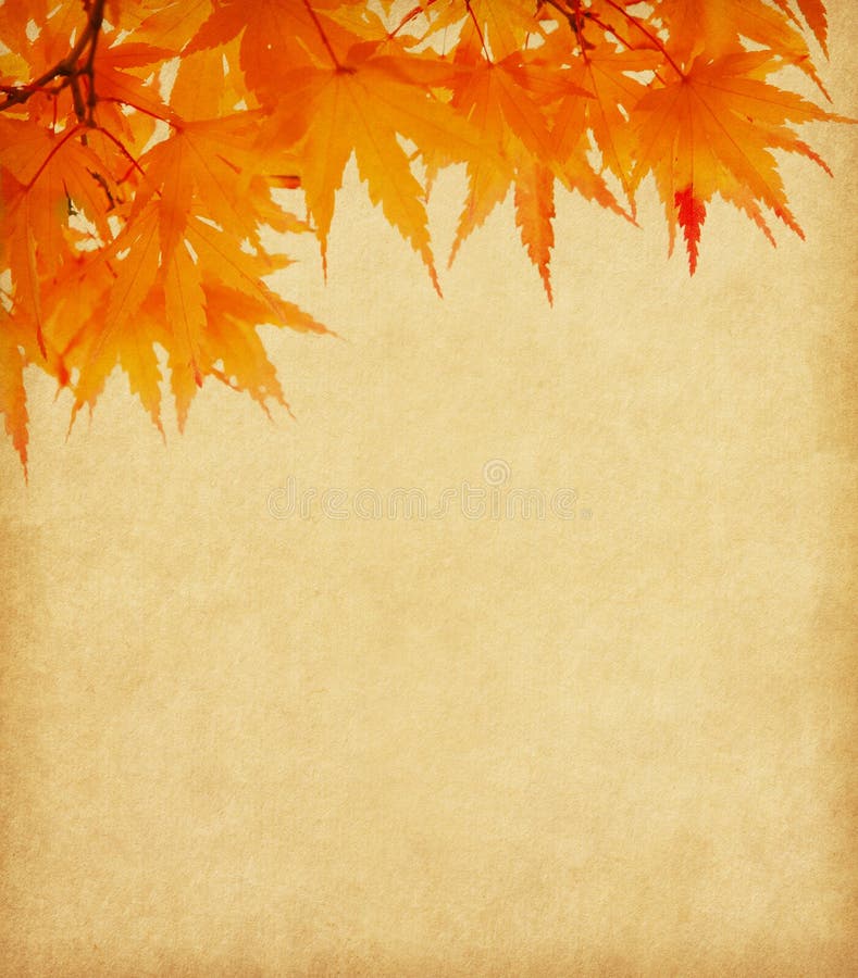 Old paper with autumn leaves.