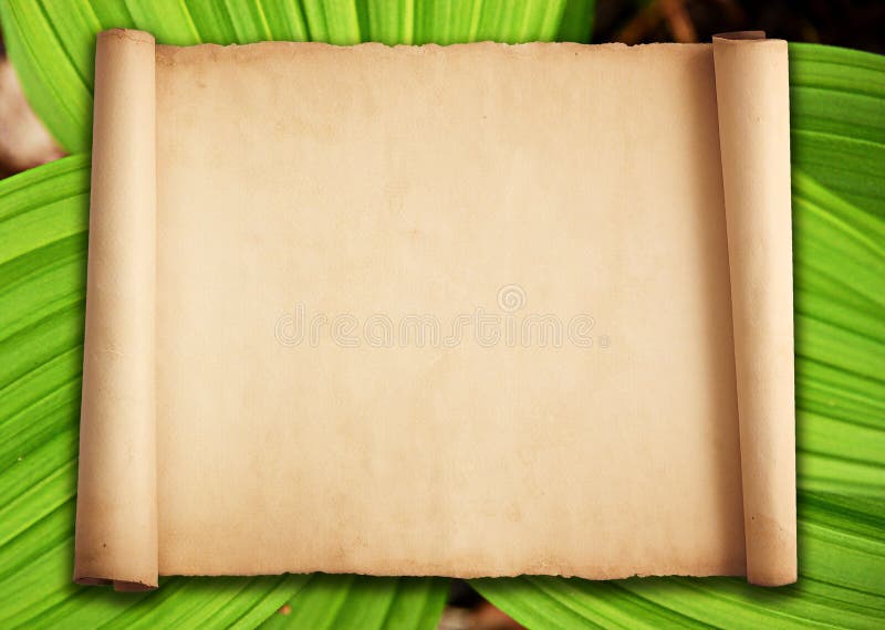 Old paper background with green leaves