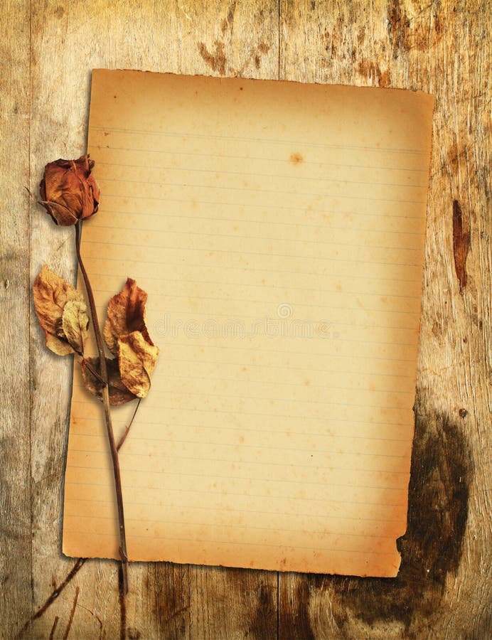 Old paper with dried rose