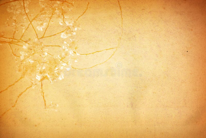 Old paper flower textures royalty free stock photos